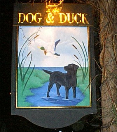 The Dog & The Duck